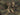 Gen III Helmet Light - TAN-Night Evolution-