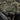 M-Patch Leopard 2 PVC-M-Tac-