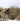 HELIKON Multifunctional Poncho SWAGMAN ROLL(R) - Earth Brown-HELIKON-