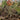 Burlap Camo Set - BC1-NOVRITSCH-
