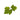 Leaf Camo – LC1 - Fern-NOVRITSCH-