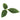 Leaf Camo – LC3 - Pine-NOVRITSCH-