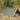 STASHA G2 Snugpak - olive-SNUGPAK-