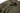 Sleeping bag DEFENCE 6 - UNI size Home > All products > Airsoft equipment and guns cases > Camping and Bushcraft > Sleeping bags, mats and sun loungers CARINTHIA