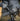 HELIKON RANGEMAN Shooting Gloves - Coyote Guanti HELIKON