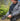 HELIKON RANGEMAN Shooting Gloves - Coyote Guanti HELIKON
