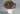 Boonie Hat MOD 2 Boonie Hat Invader Gear