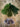 KMCS AGM Adaptive camouflage mesh set - Small pack
