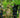 KMCS AGM Adaptive camouflage mesh set - Small pack