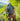 Summit Backpack(R) - Shadow Grey